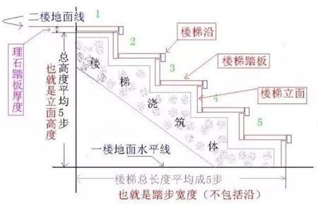 階梯數|【樓梯的階數】注意！樓梯的階數大有玄機，不可輕忽的風。